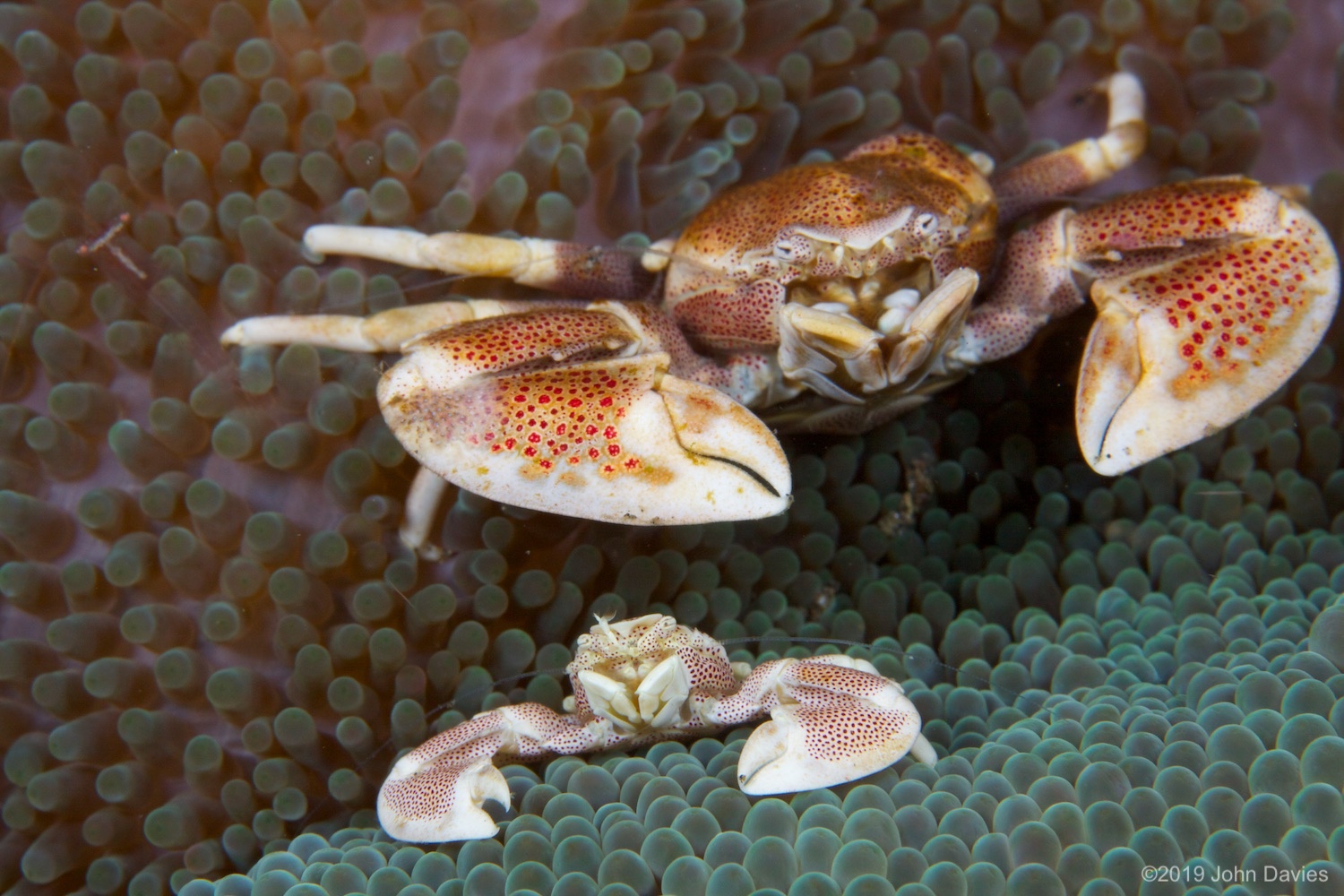 NadLembeh20120042