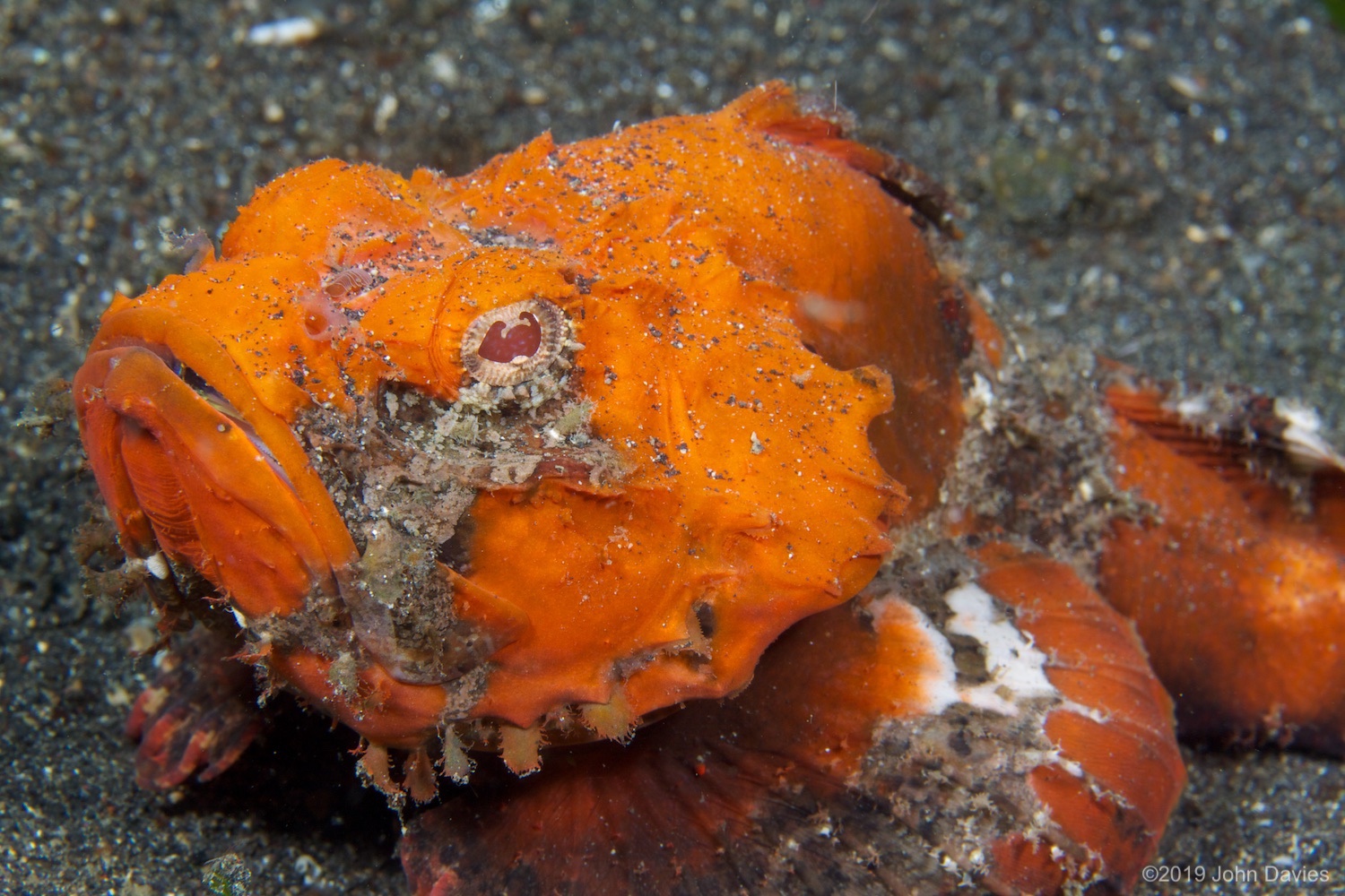 NadLembeh20120048