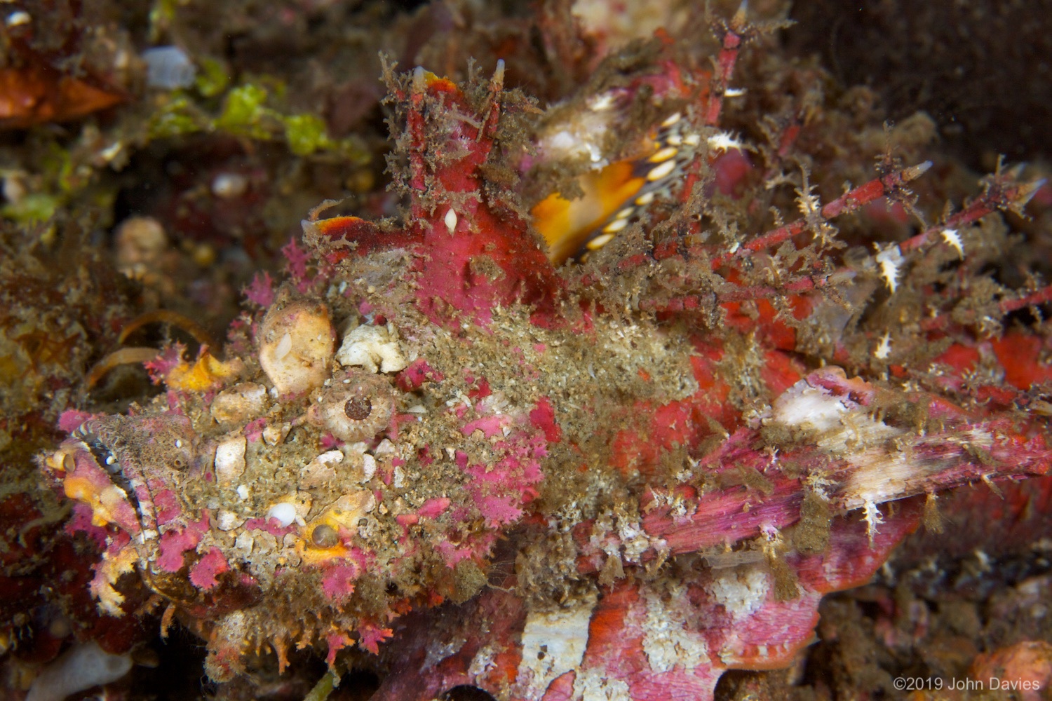 NadLembeh20120049