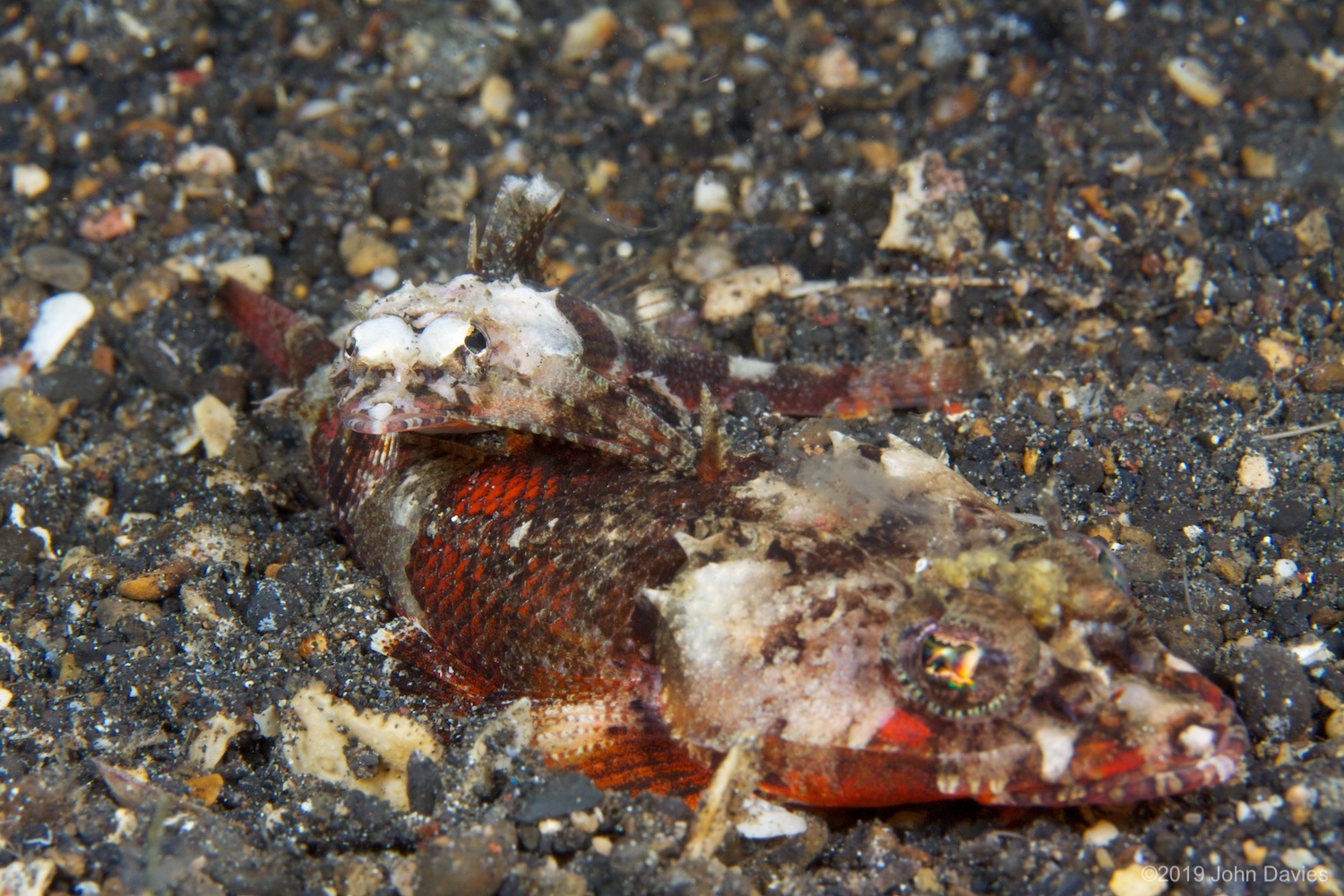 NadLembeh20120056