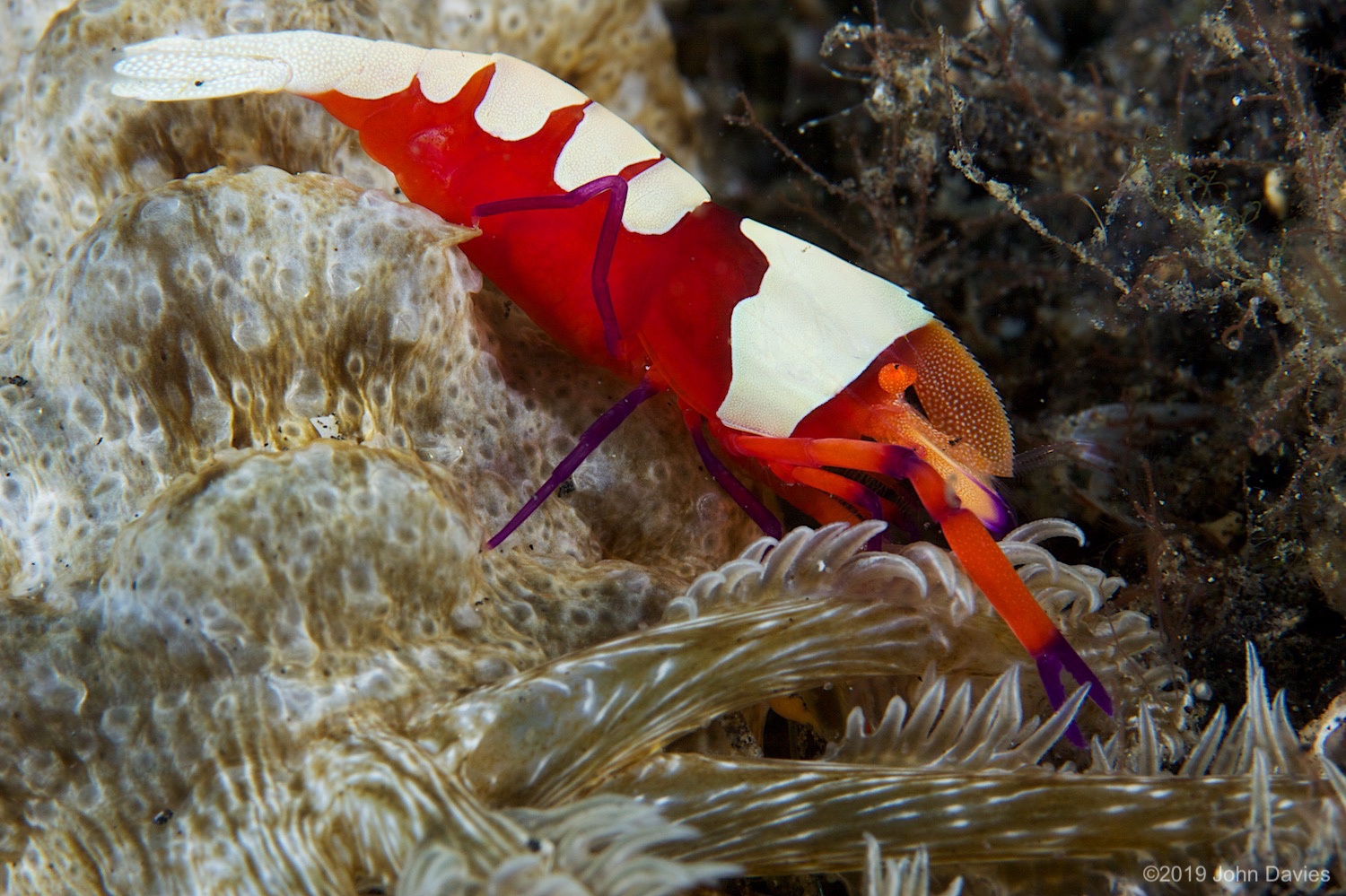 NadLembeh20120059