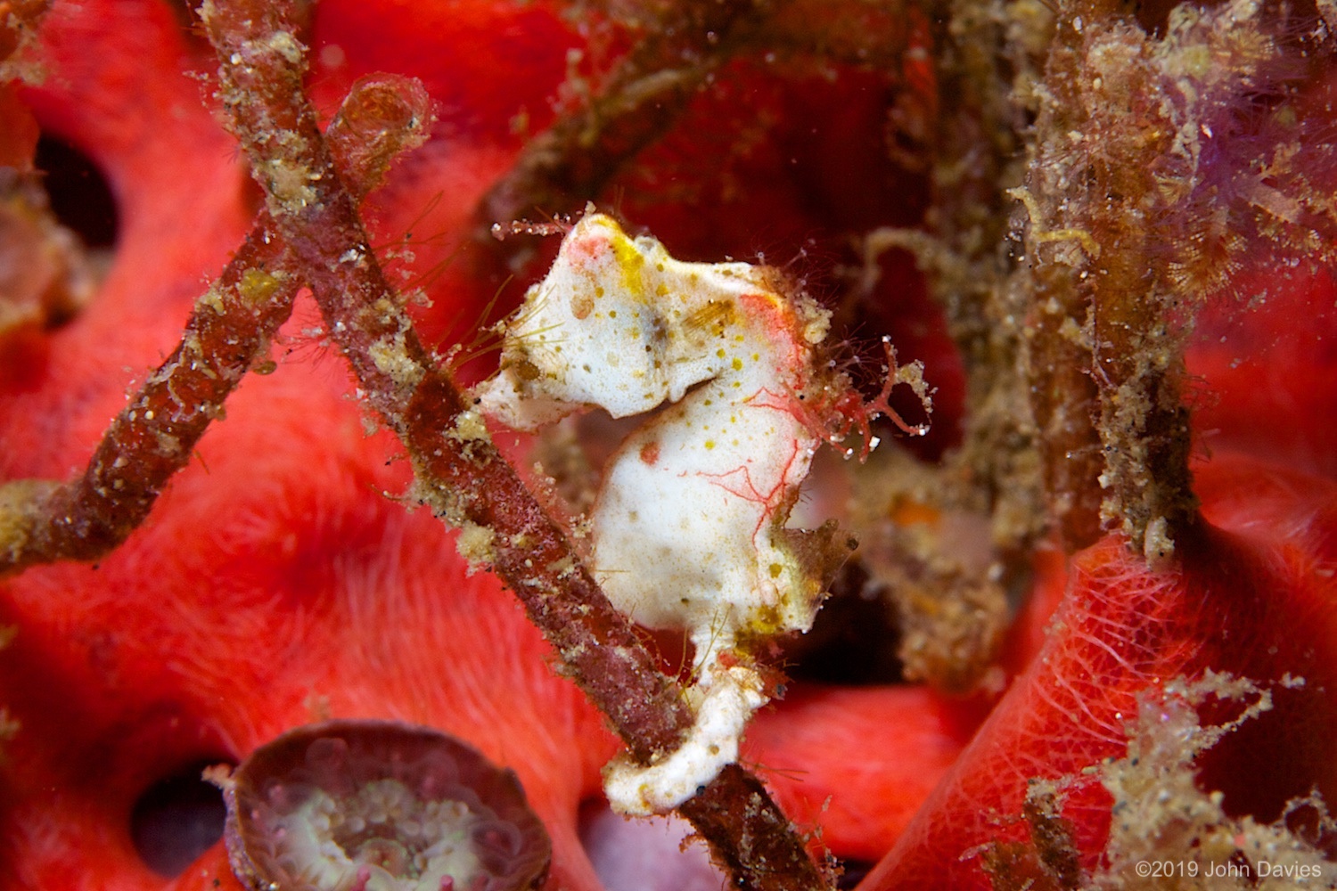 NadLembeh20120064