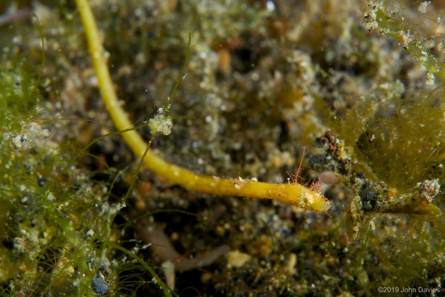 nadlembeh20140001