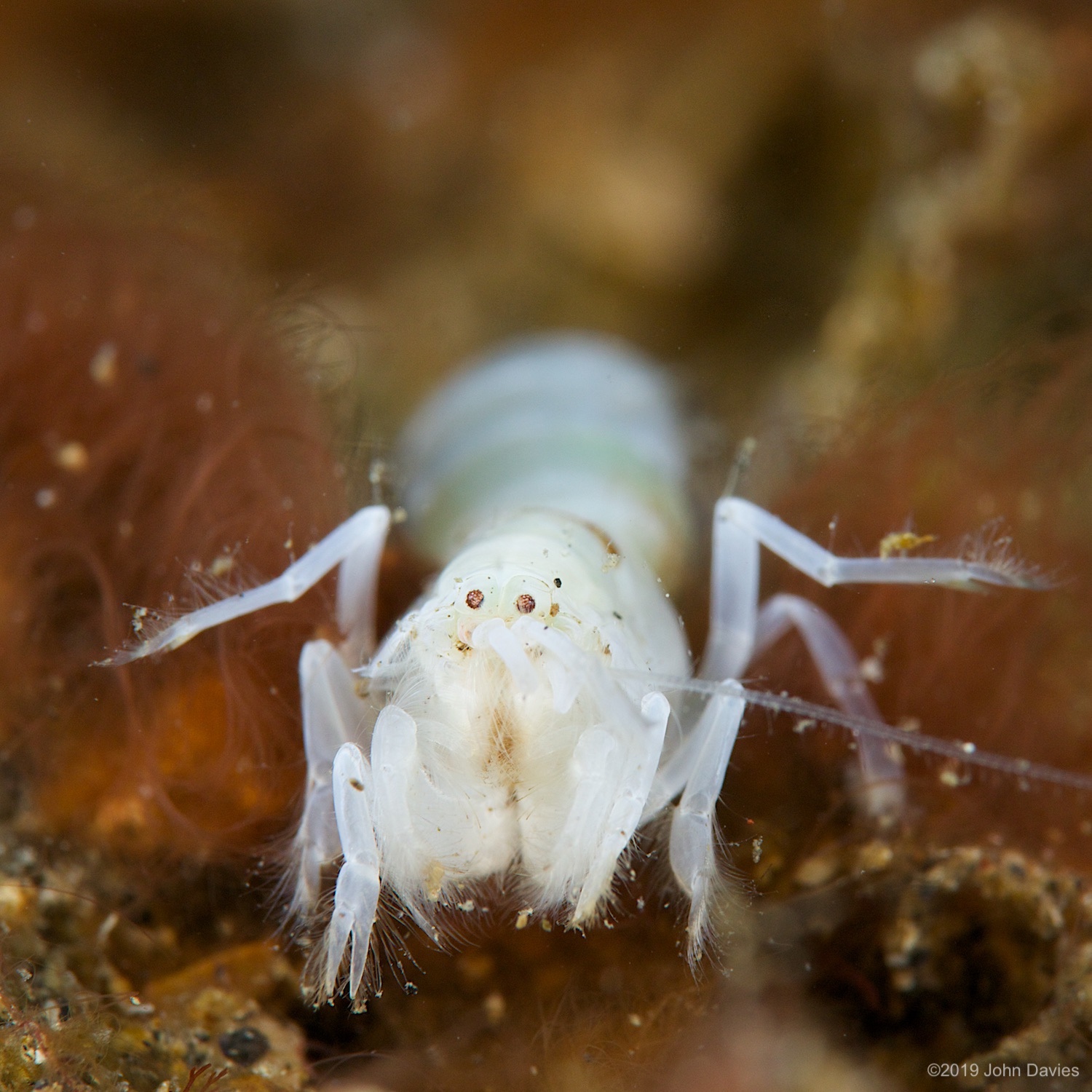 nadlembeh20140012