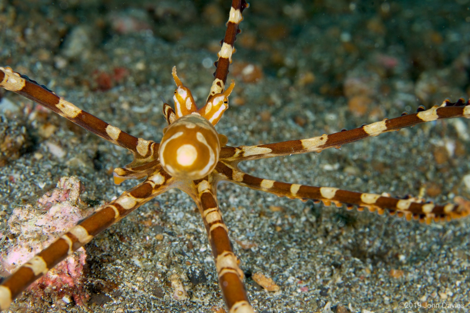 nadlembeh20140014