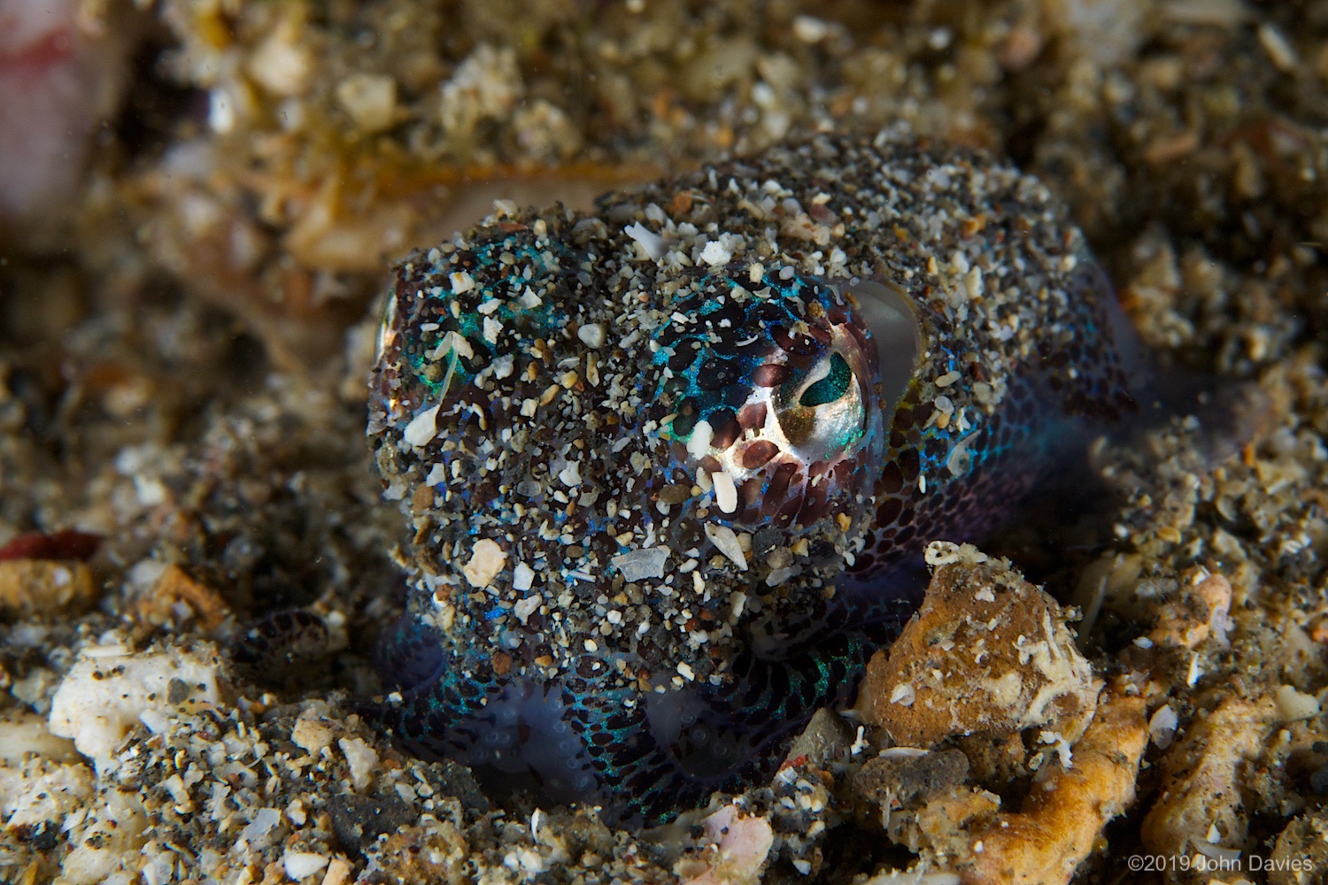 nadlembeh20140025