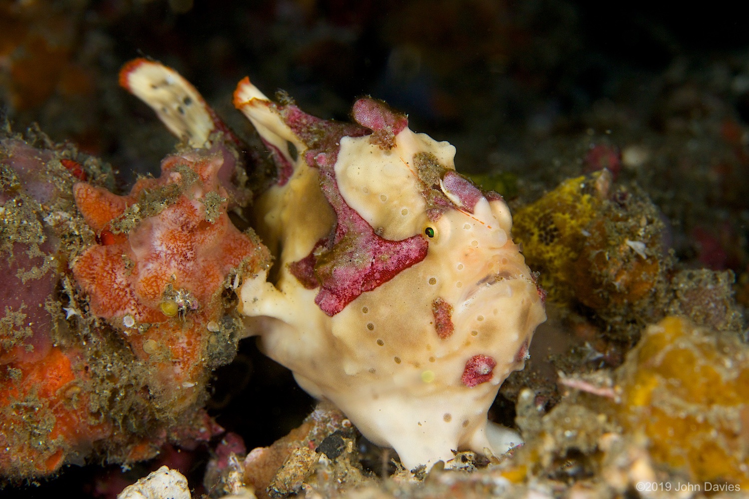 nadlembeh20140028