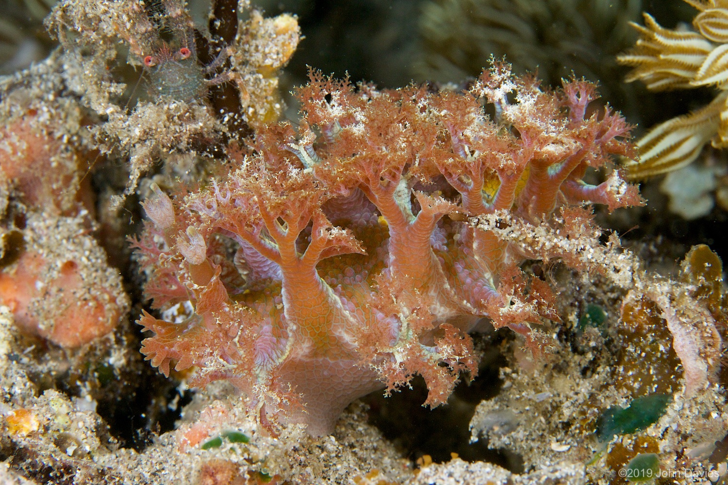 nadlembeh20140030