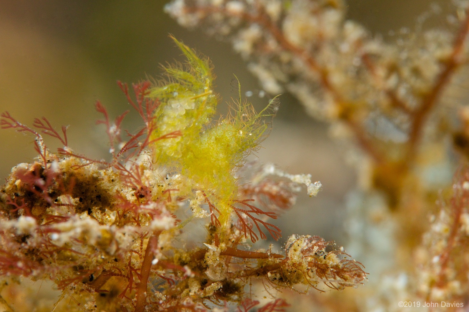 nadlembeh20140043