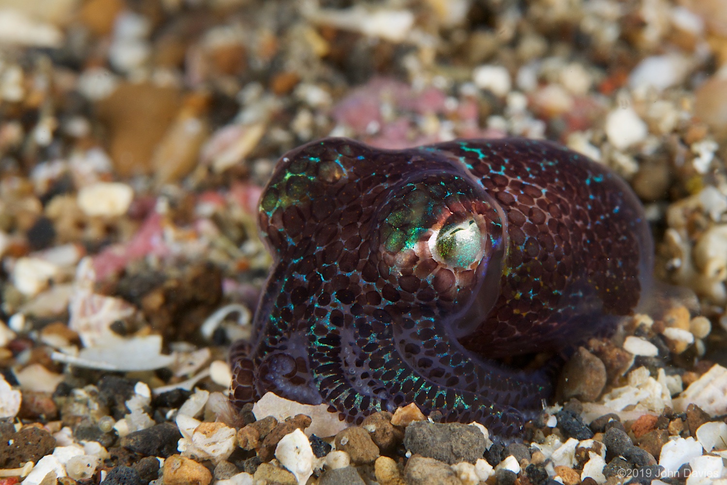 nadlembeh20140046