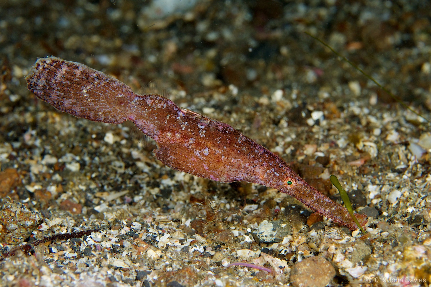 nadlembeh20140047