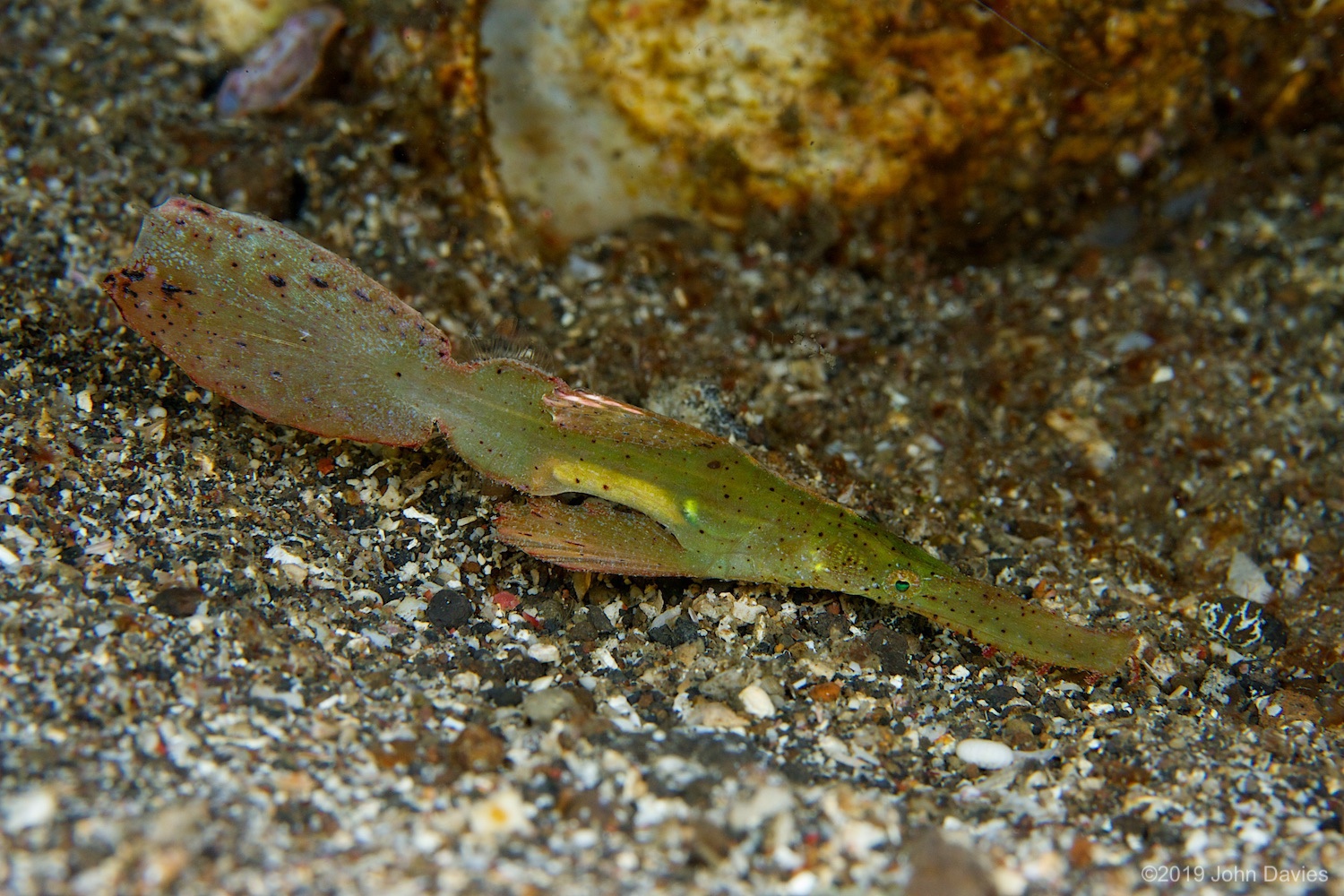 nadlembeh20140048