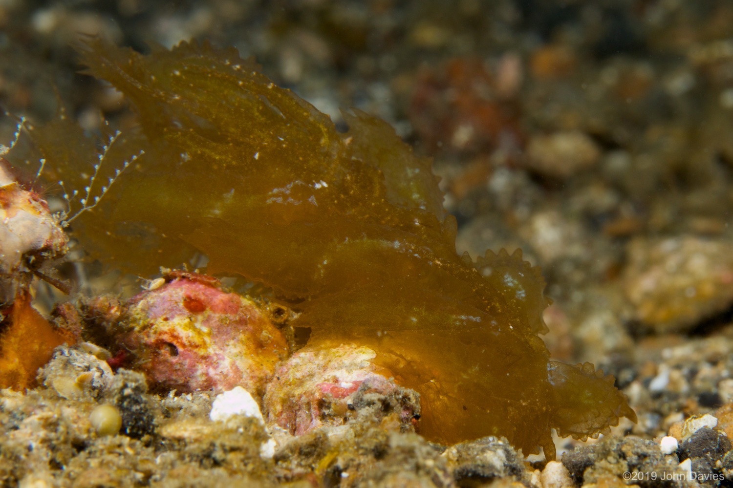 nadlembeh20140057