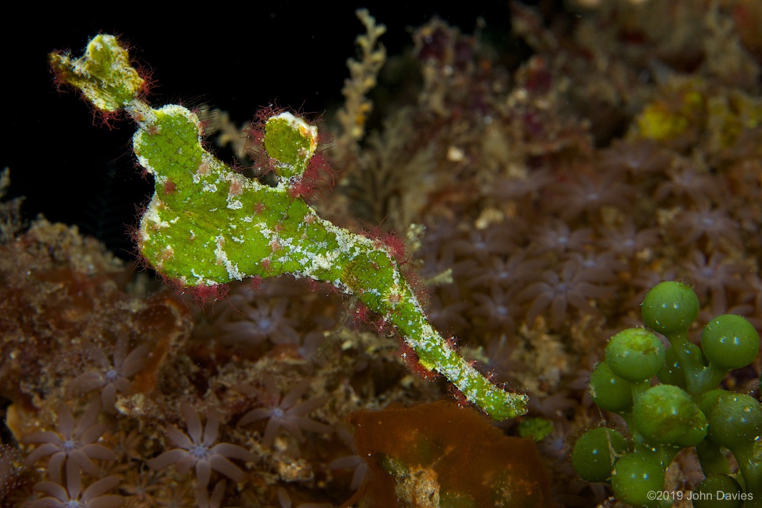 nadlembeh20140063