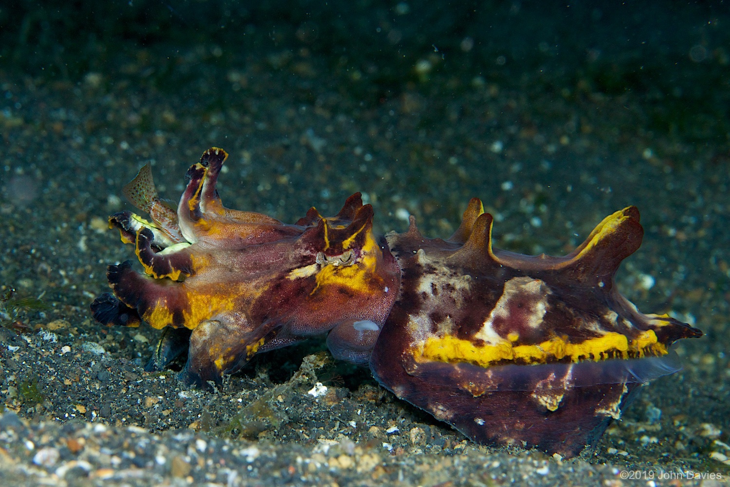 nadlembeh20140069