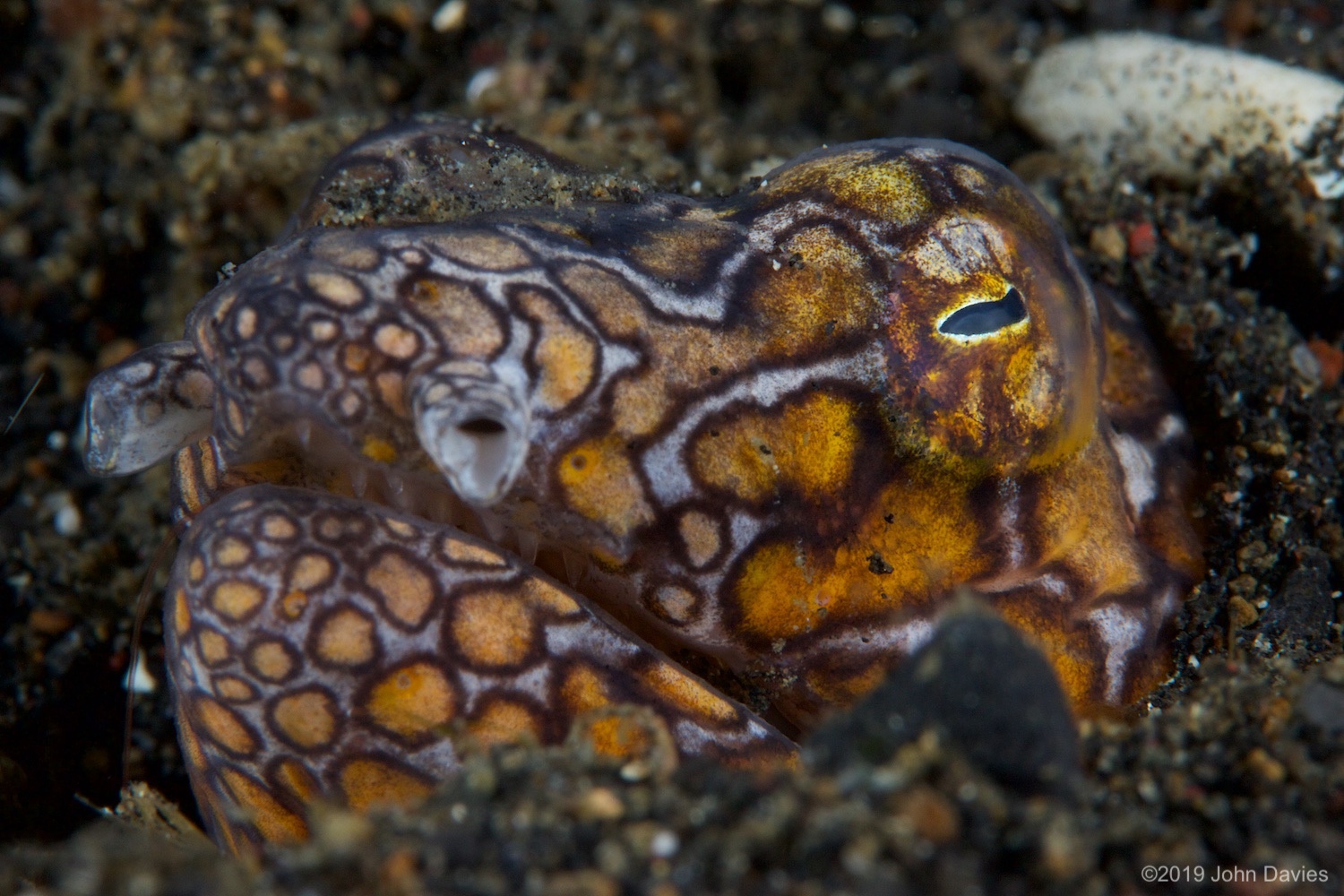 nadlembeh20140080