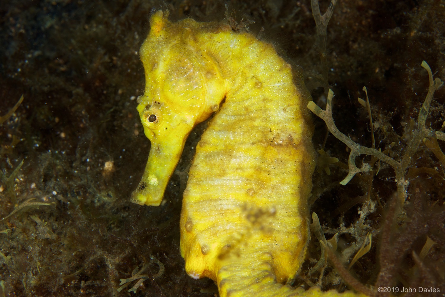 nadlembeh20140083