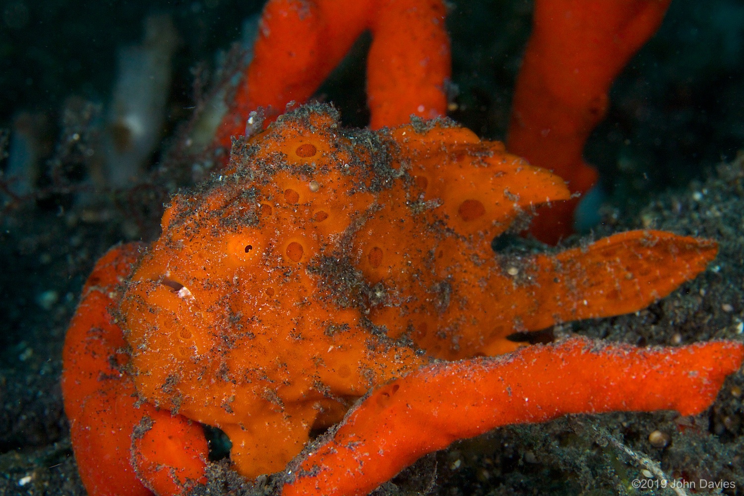 nadlembeh20140086