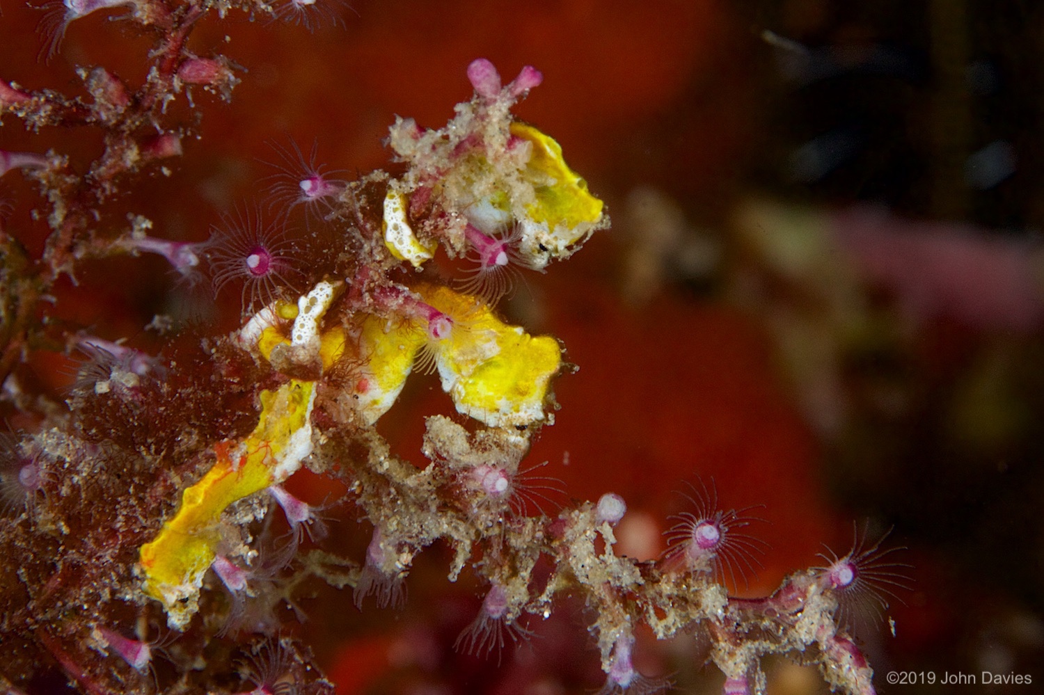 nadlembeh20140092