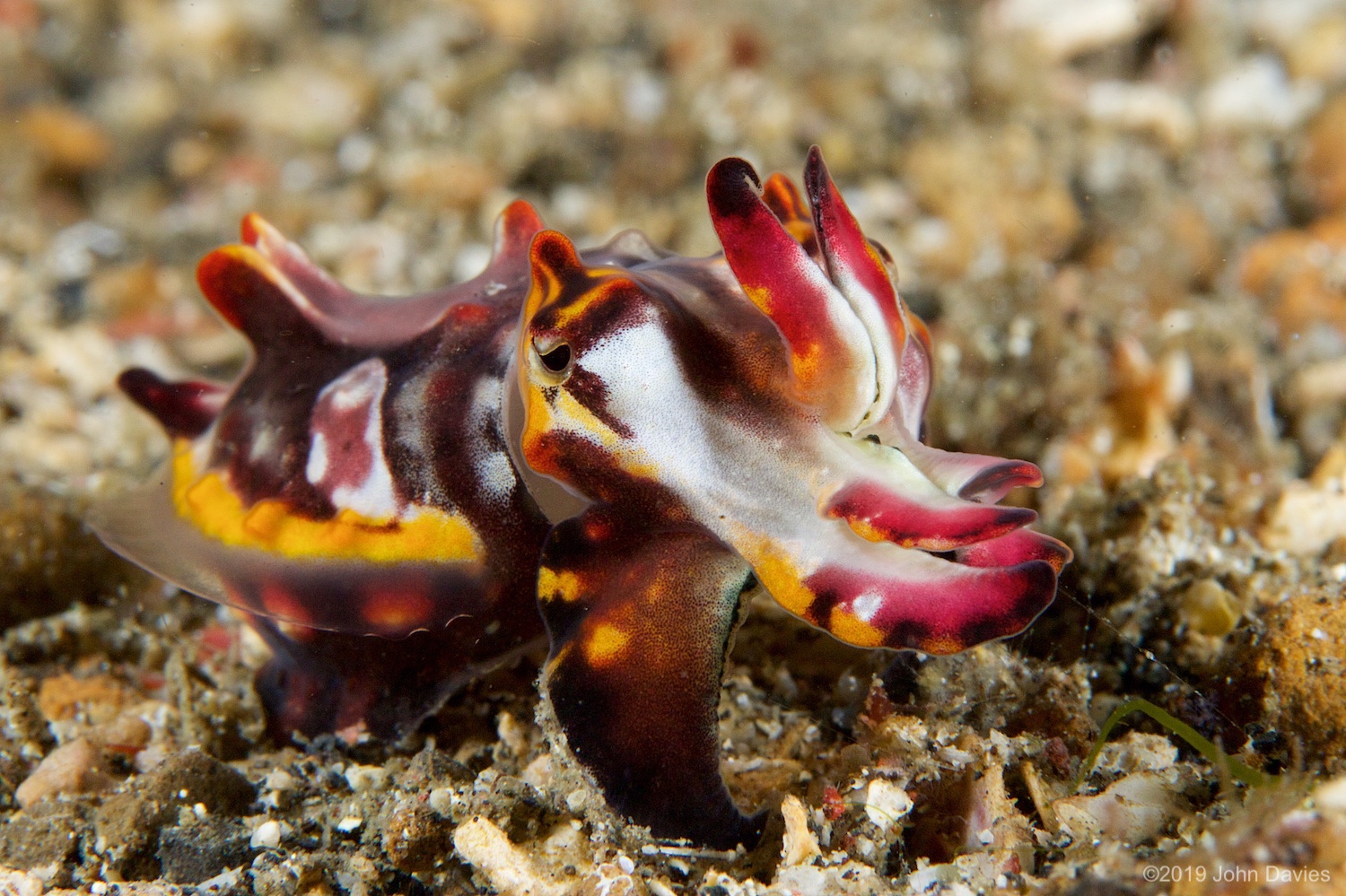 nadlembeh20140101