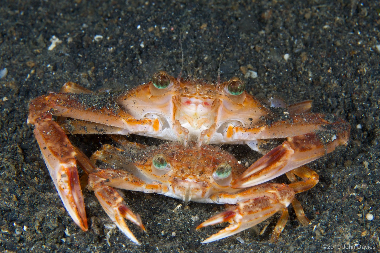 nadlembeh20140105