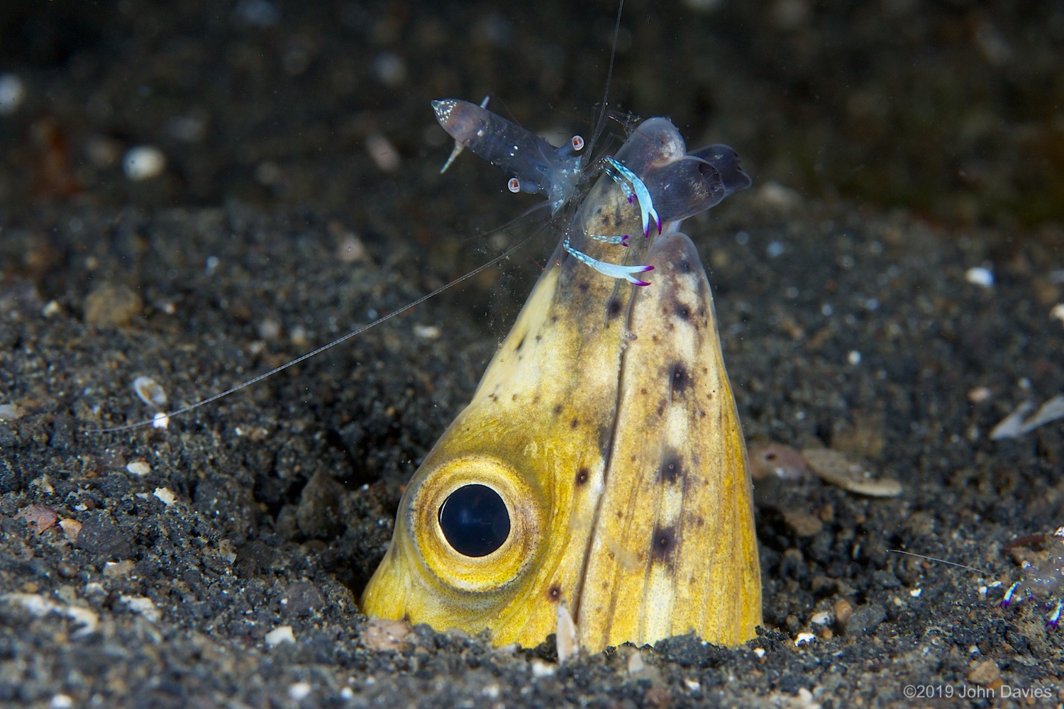 nadlembeh20140108