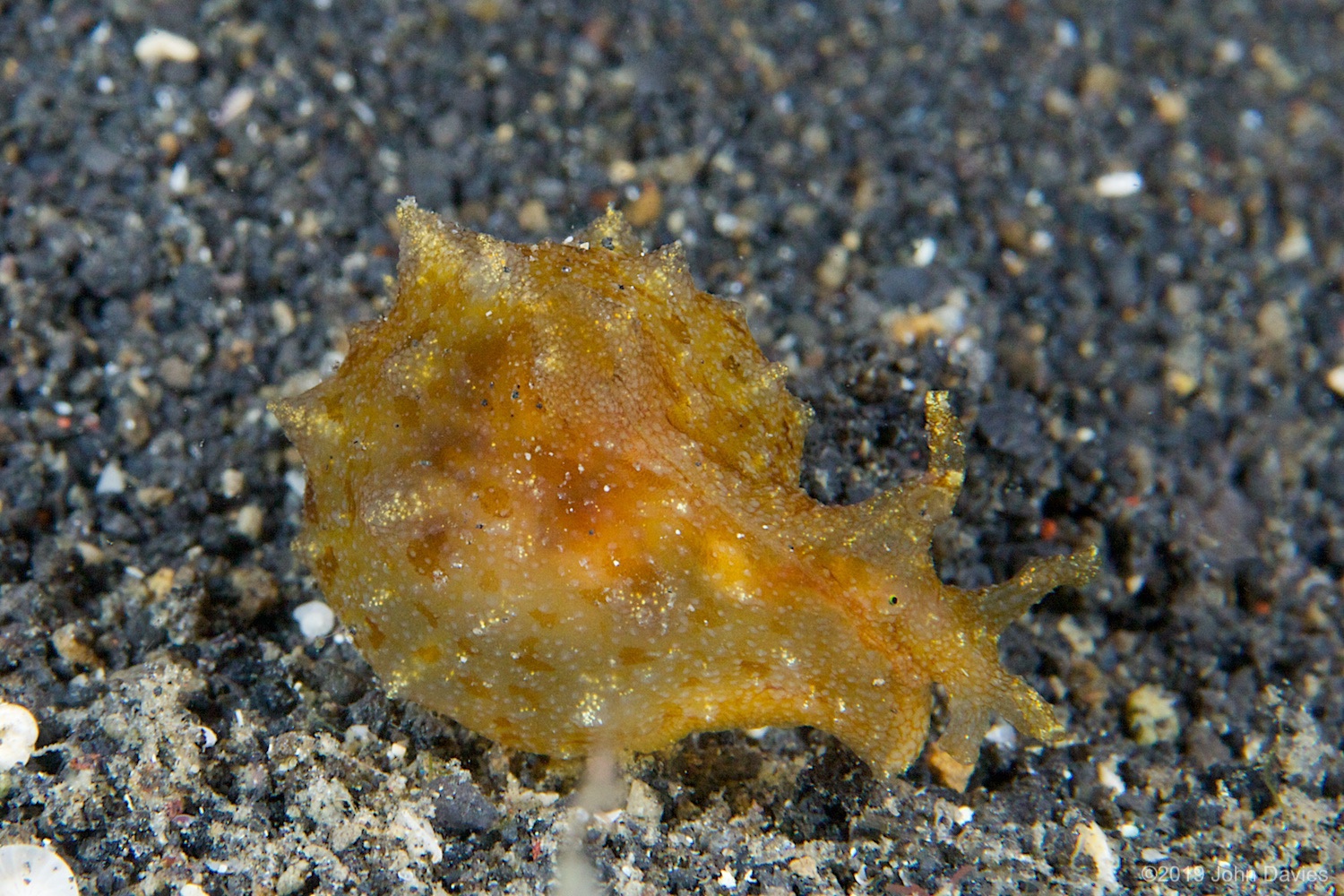 nadlembeh20140110