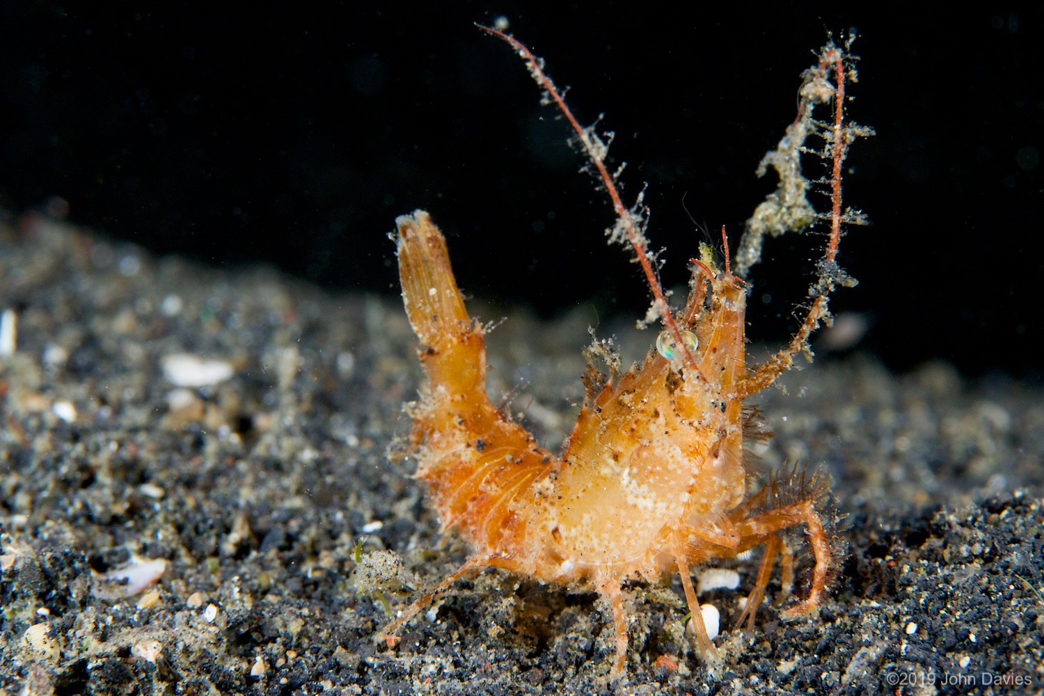 nadlembeh20140111