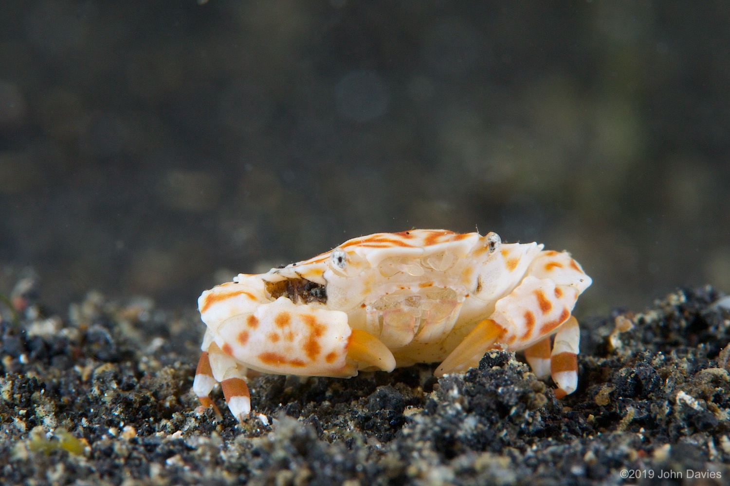 nadlembeh20140112