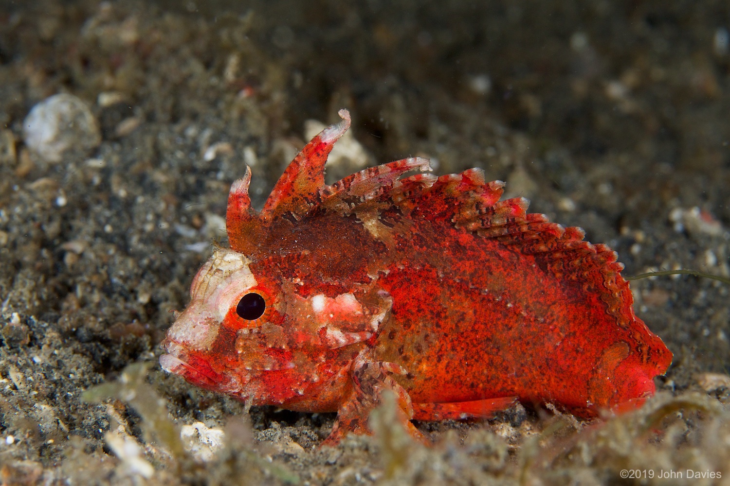 nadlembeh20140113