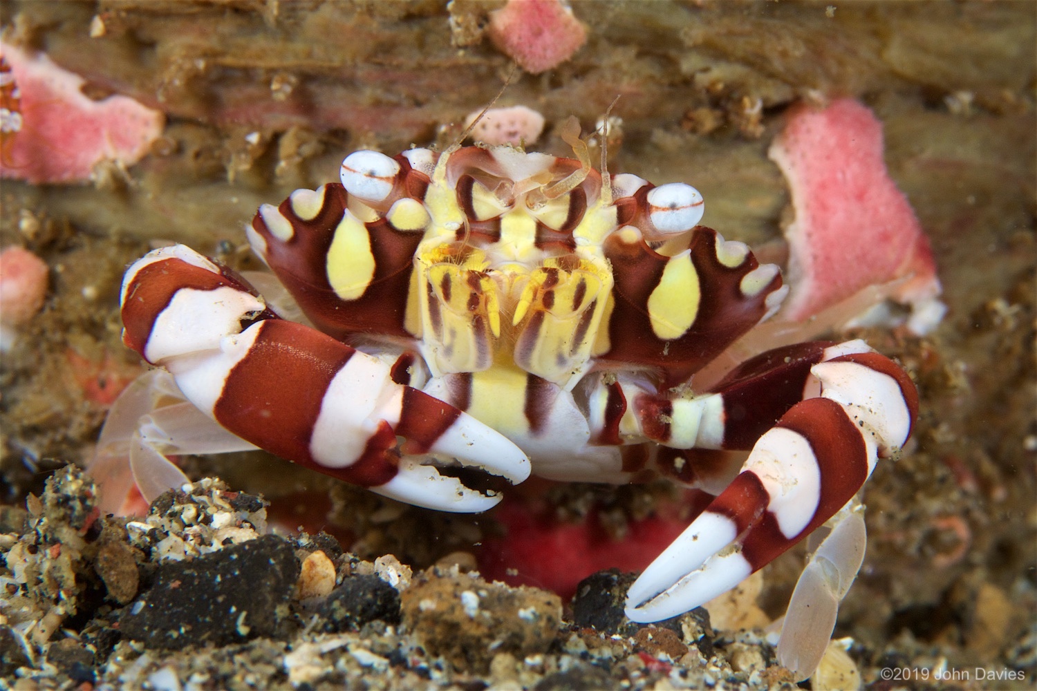 NadLembeh20160011