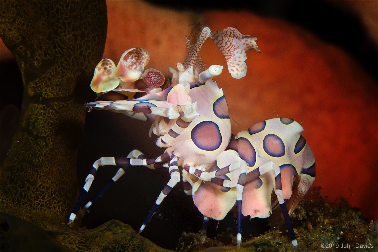 NadLembeh20160014