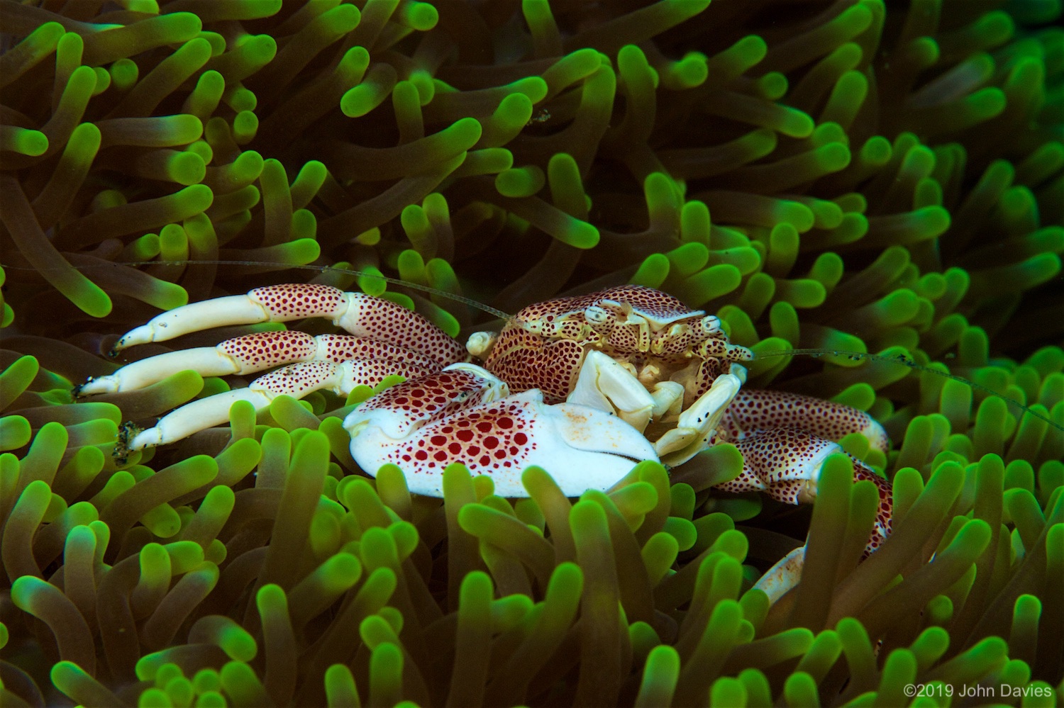 NadLembeh20160018