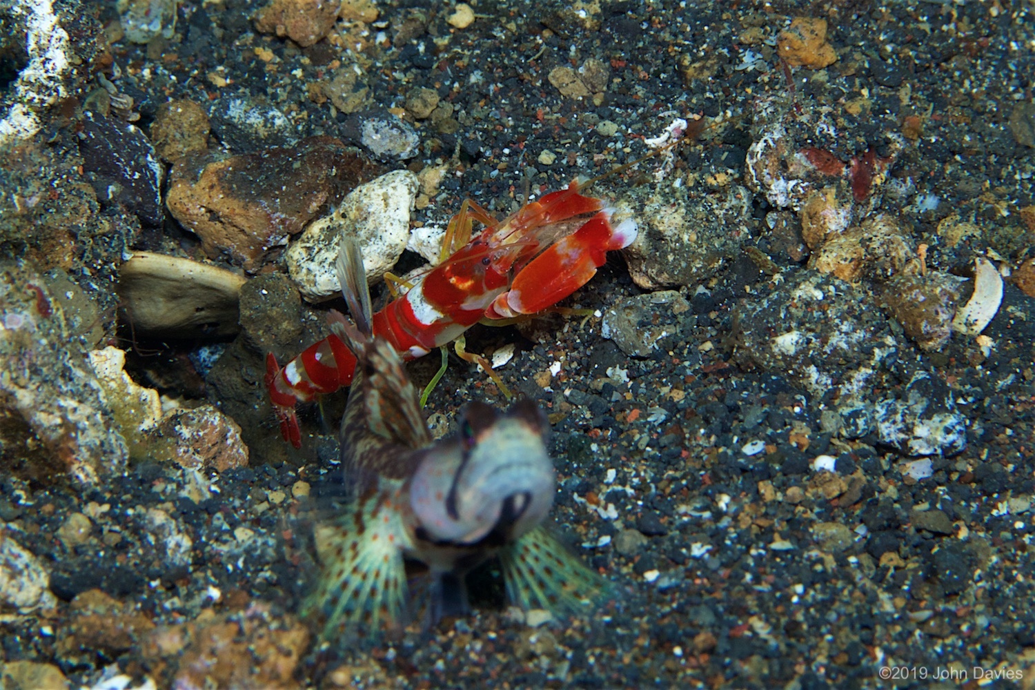 NadLembeh20160026