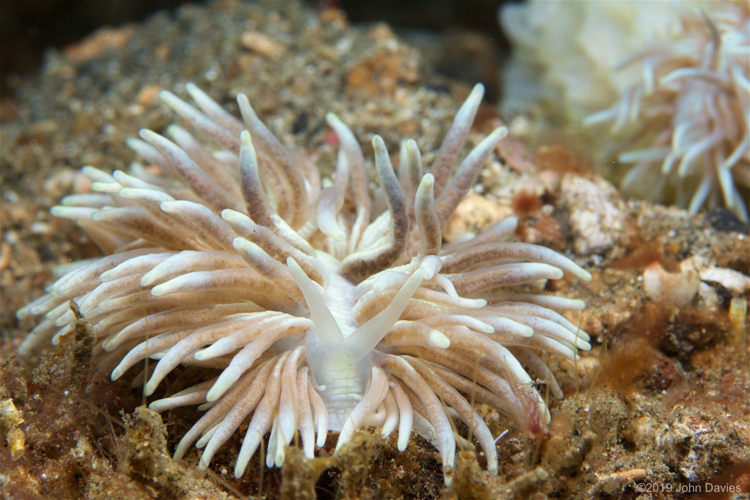 NadLembeh20160034