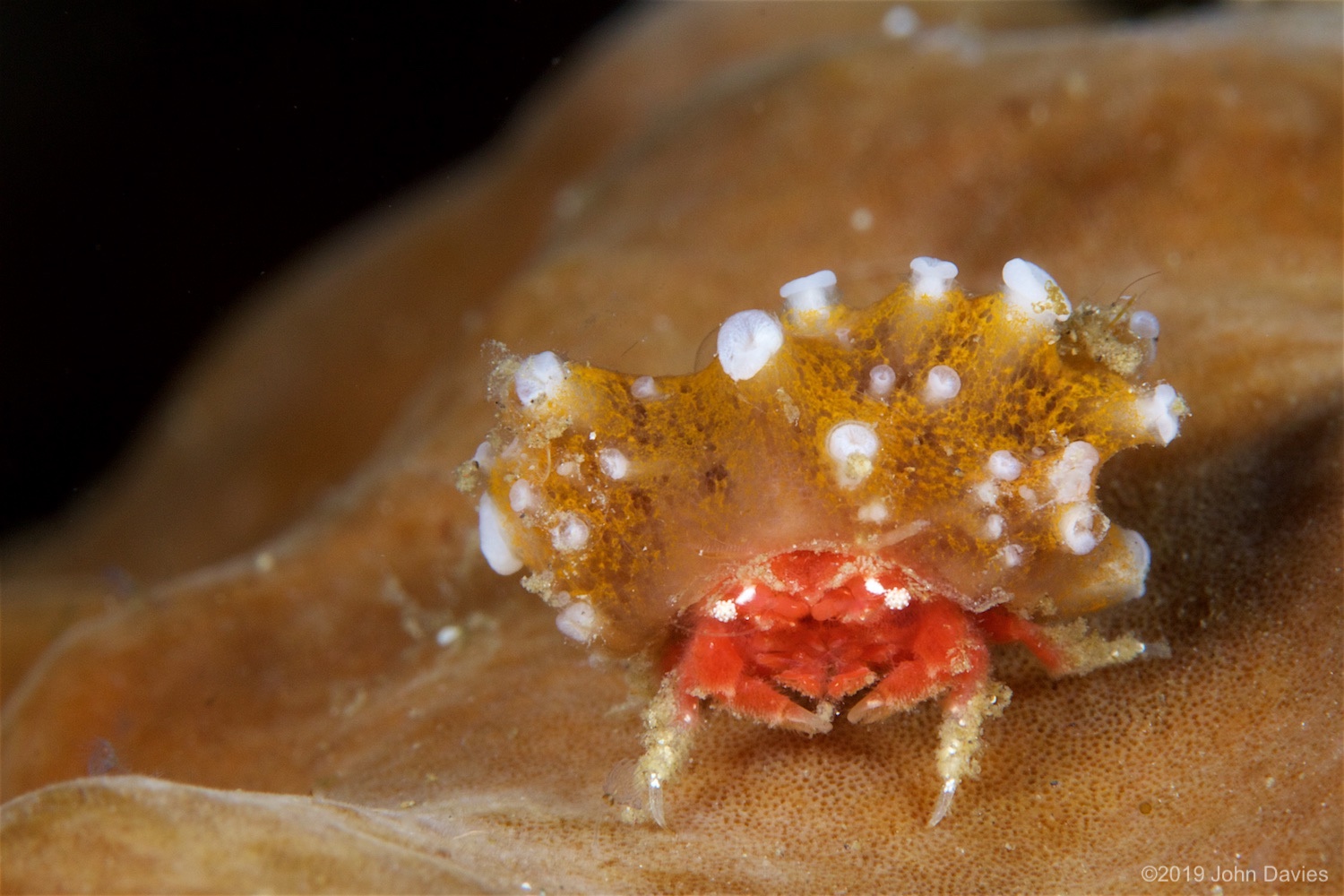 NadLembeh20160048