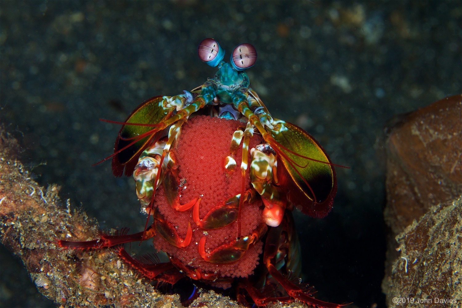 NadLembeh20160049