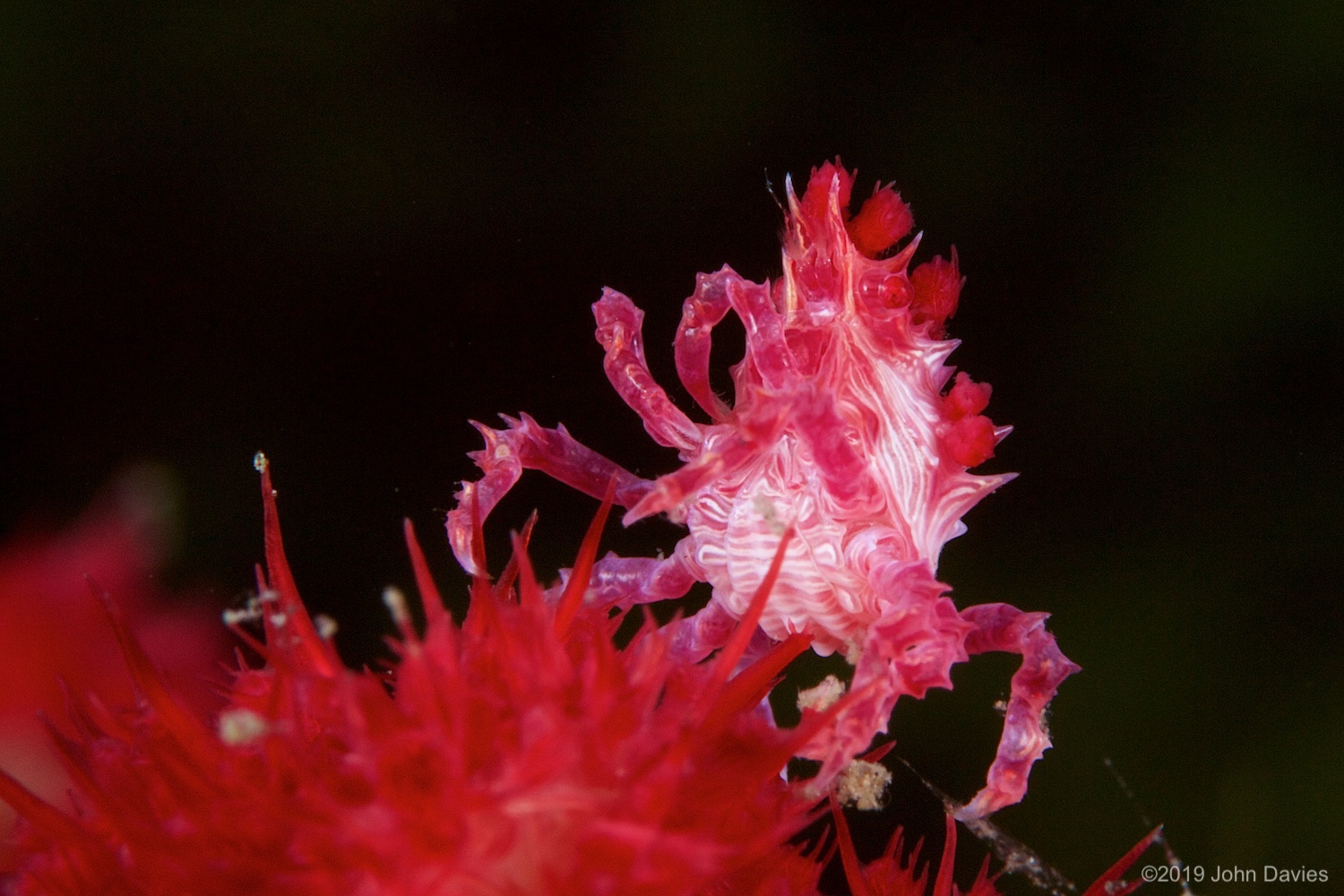 NadLembeh20160064