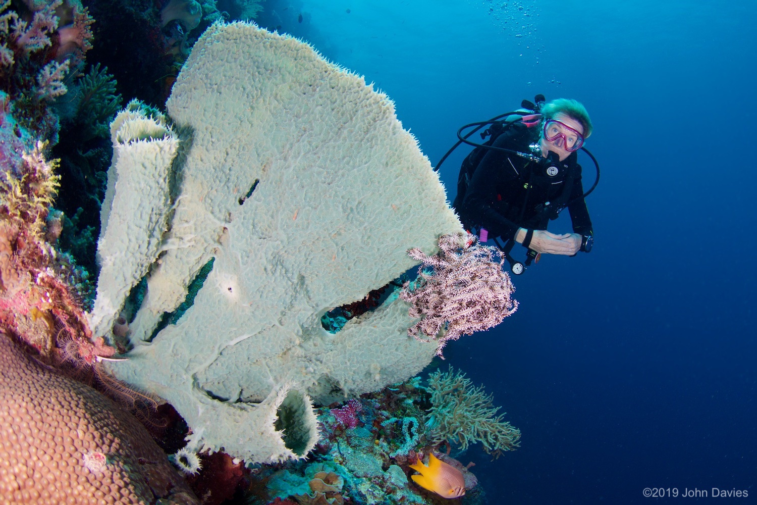 Wakatobi20170001