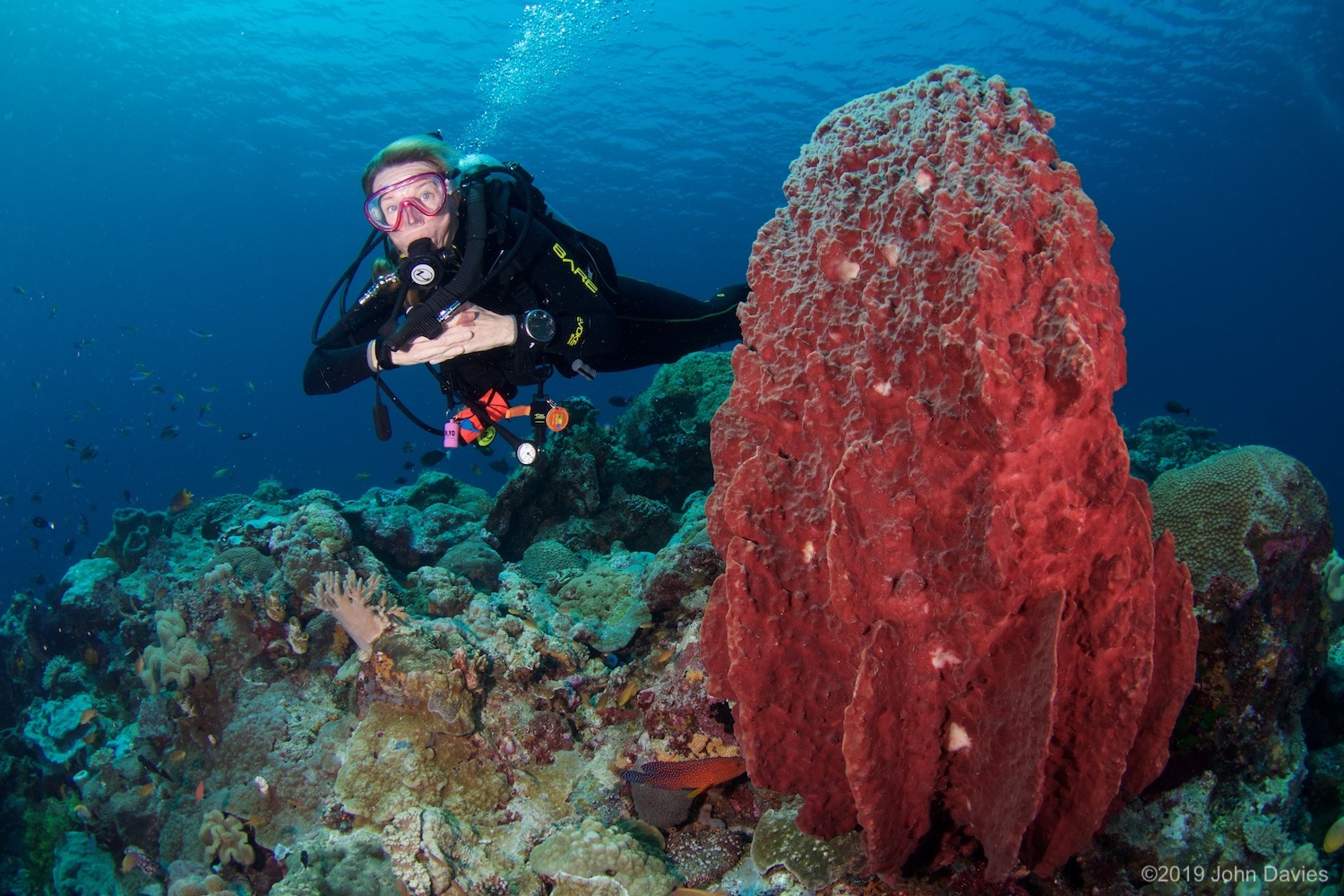 Wakatobi20170006