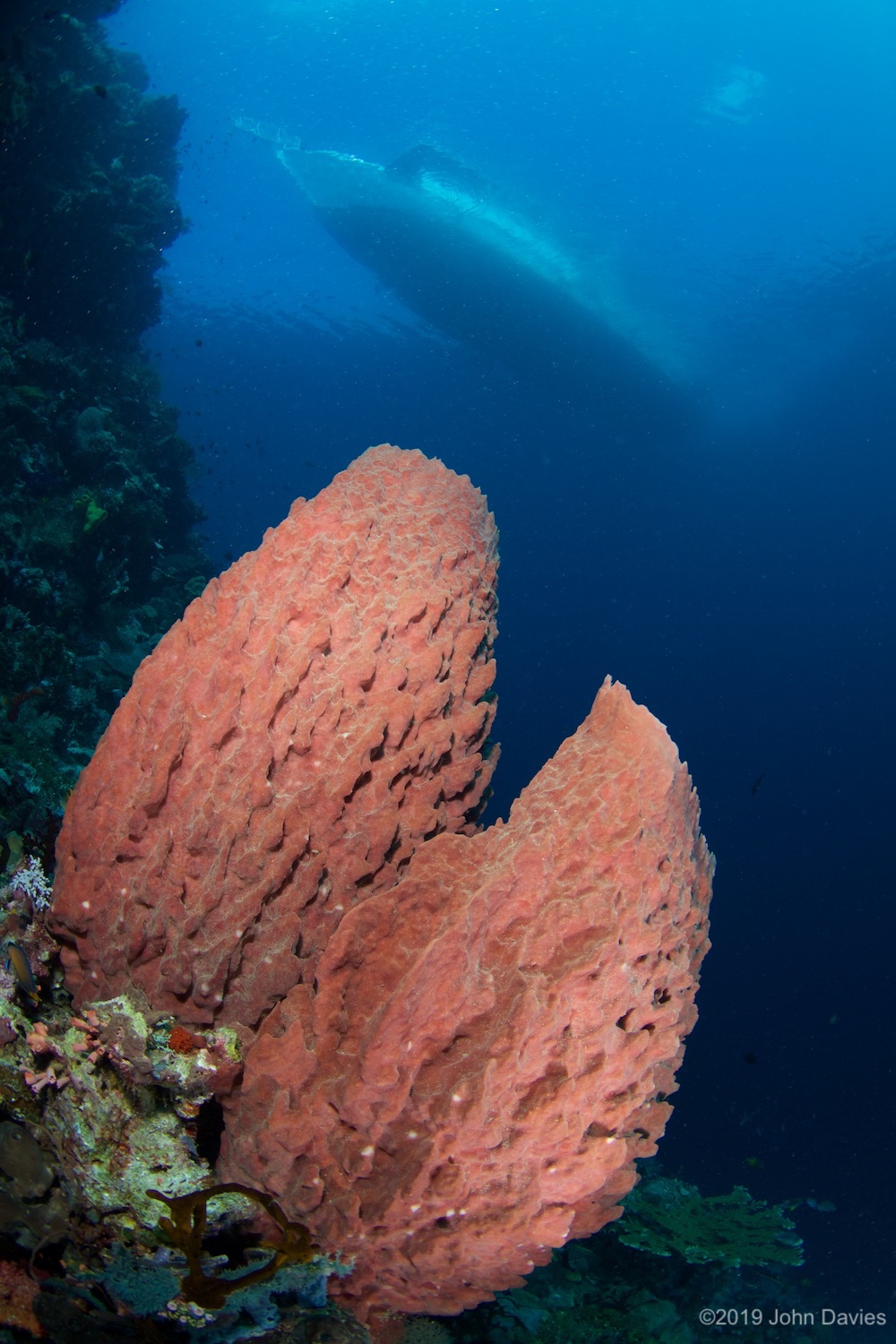 Wakatobi20170023