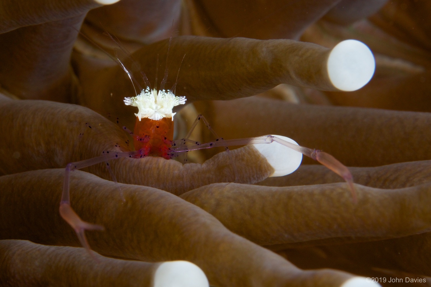 bunaken20140012