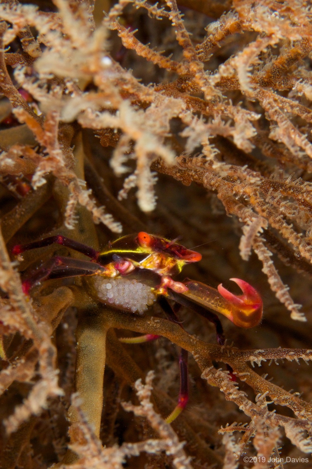 bunaken20140014