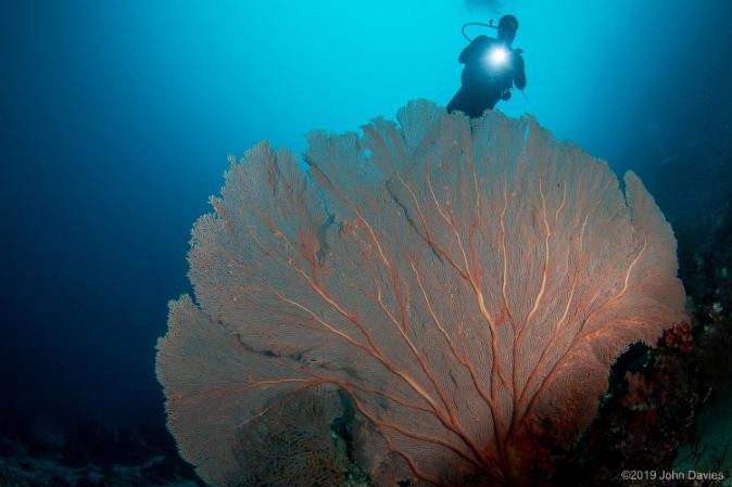 raja ampat indonesia 2019